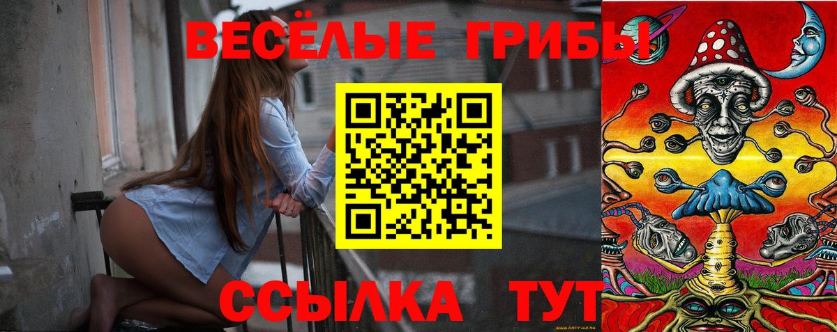 Галлюциногенные грибы мухоморы Гай